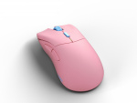 Glorious Model D Pro Wireless Flamingo gaming mus, rosa/blå