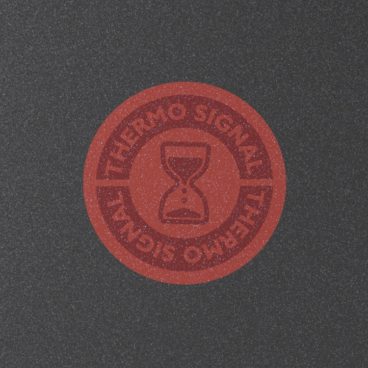 Tefal Ingenio Eco Resist stekpanna, 28 cm