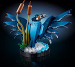 LEGO Ikoner 10331 - Kingfisher LEGO Ikoner 10331 - Kingfisher