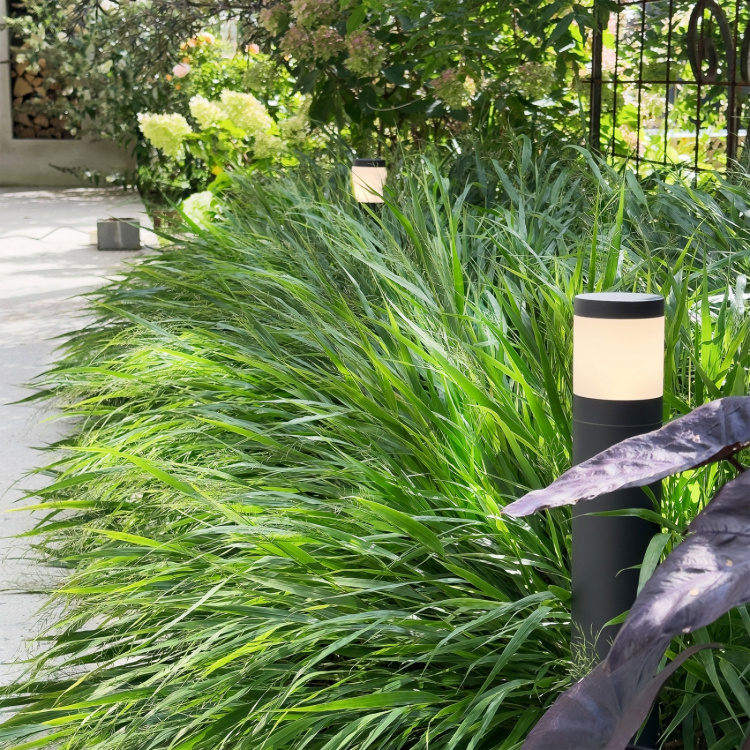 LightsOn Polly Pollare 38cm 350lm 3000K 5W Antracit