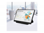 ASUS ZenScreen MB166C 15.6 1920 x 1080 (Full HD) USB-C 60Hz