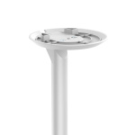 Nedis Högtalar Fäste | Kompatibel med: Sonos® Era100 | Ställ | 3 kg | Fast | ABS / Metall | Vit