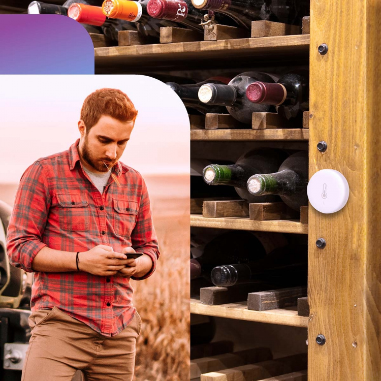 Alecto Smart Zigbee temperatur- och luftfuktighetssensor