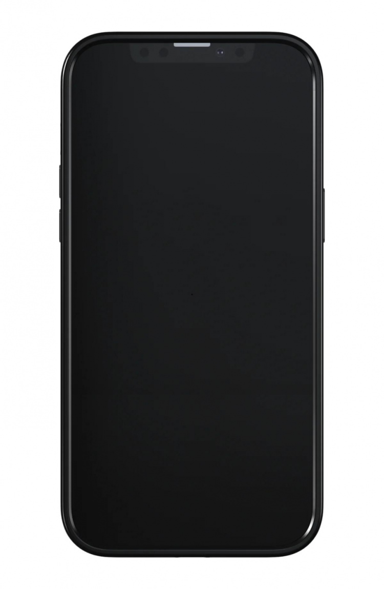 Richmond & Finch iPhone 13 Pro Max Freedom Case, Emerald Zebra