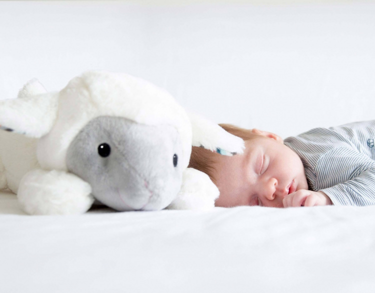 Zazu Lizzy lamm mjukisdjur, musik