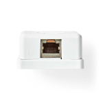 Nedis Nätverksvägglåda | Ytmontering | 1-Port port(s) | STP CAT6 | Rak | Hona | Guldplaterad | PVC | Vit | Låda Nedis Nätverksvägglåda | Ytmontering | 1-Port port(s) | STP CAT6 | Rak | Hona | Guldplaterad | PVC | Vit | Låda
