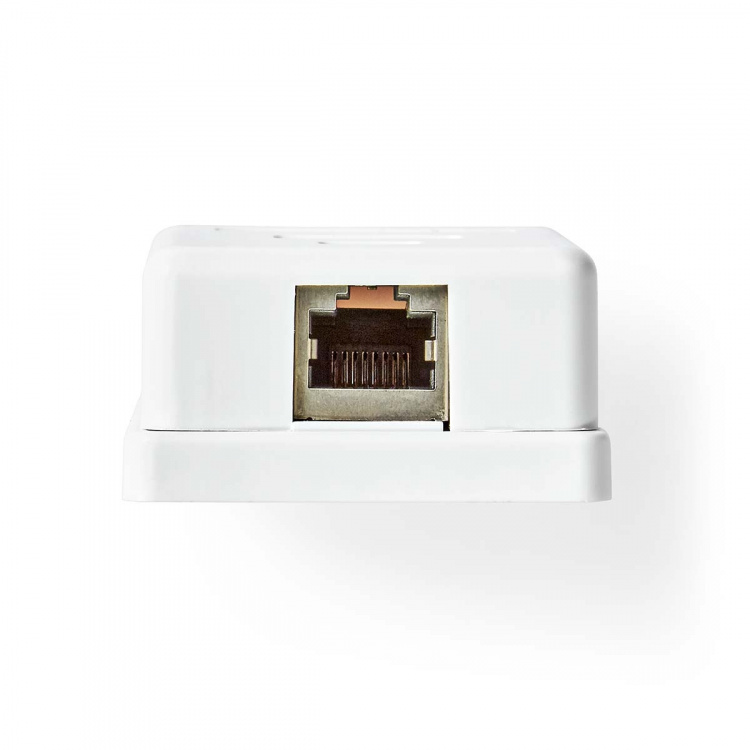 Nedis Nätverksvägglåda | Ytmontering | 1-Port port(s) | STP CAT6 | Rak | Hona | Guldplaterad | PVC | Vit | Låda Nedis Nätverksvägglåda | Ytmontering | 1-Port port(s) | STP CAT6 | Rak | Hona | Guldplaterad | PVC | Vit | Låda