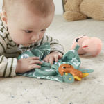 Fisher-Price Sensimals presentförpackning