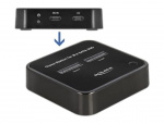 DeLOCK M.2 Docking Station for 2 x M.2 SATA SSD with Clone function