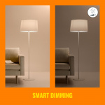 WiZ WiFi Smart LED E27 G95 75W 1055lm Varm-kallvit