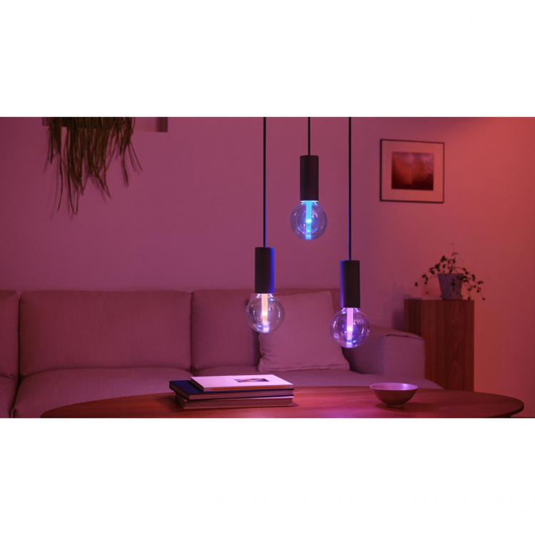 Philips Hue Lightguide Globe 95mm E27 White and Color Ambiance Philips Hue Lightguide Globe 95mm E27 White and Color Ambiance