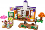 LEGO ® Animal Crossing™ 77052 - K.K.s konsert på torget