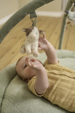 Little Dutch Little Farm lekmatta med bågar, grön