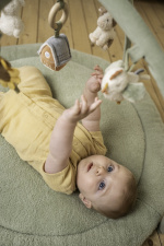 Little Dutch Little Farm lekmatta med bågar, grön