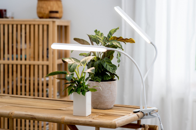 Airam Tulpan odlingslampa, 16W/840, 780 lm, vit Airam Tulpan odlingslampa, 16W/840, 780 lm, vit