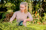 Bosch EasyShear sladdlös grässax för trimning