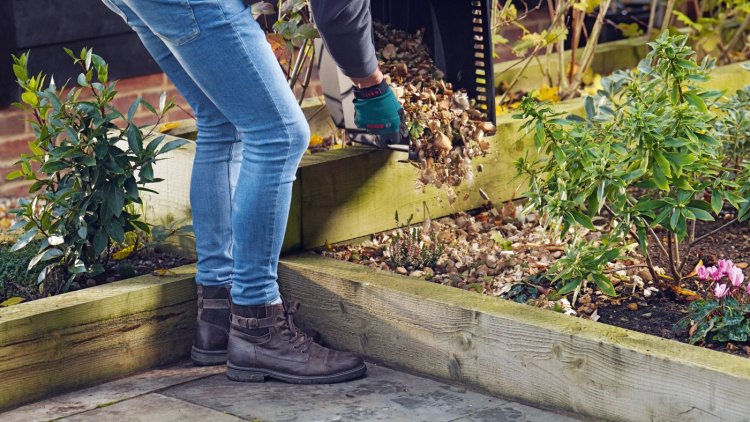 Bosch AXT 25 TC -ox skakmaskin