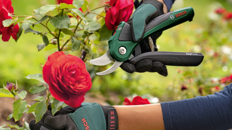 BOSCH SEKATÖR EASY PRUNE 3,6V