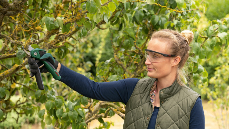 BOSCH SEKATÖR EASY PRUNE 3,6V