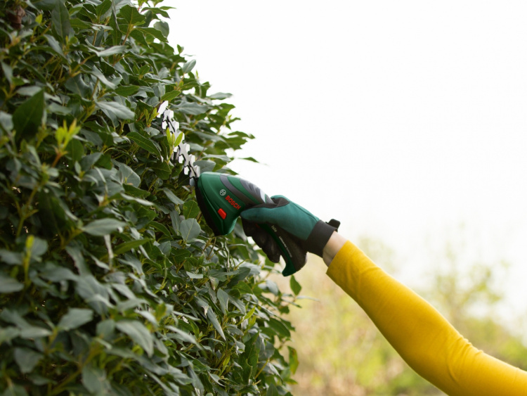 Bosch ISIO III multifunktionell trimmer med häcksax