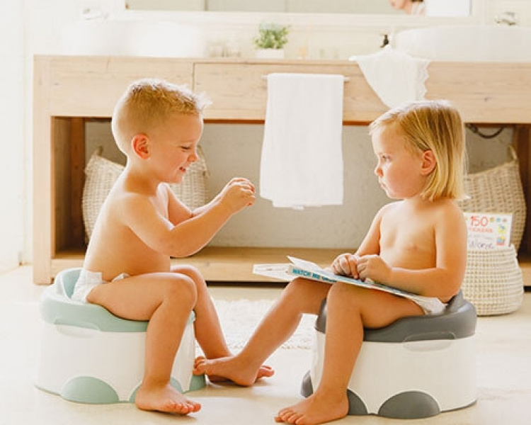 Bumbo Step N Potty - pallpottan, hemlock