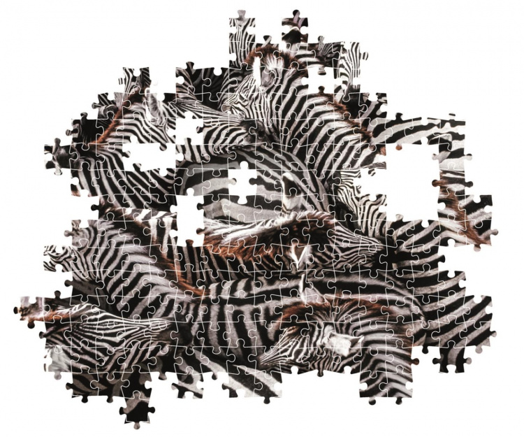 Clementoni 1000 st CB High Quality Collection National Geographics Zebror