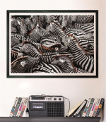 Clementoni 1000 st CB High Quality Collection National Geographics Zebror