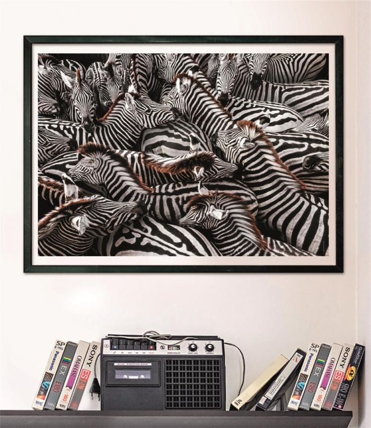 Clementoni 1000 st CB High Quality Collection National Geographics Zebror