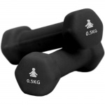 Fitpaddy Dumbbells Premium 2 x 0.5 kg Fitpaddy Dumbbells Premium 2 x 0.5 kg