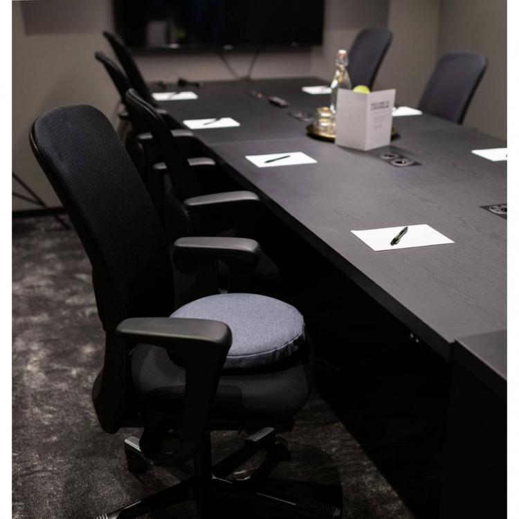 SWEDISH POSTURE Ergonomisk Balanskudde PRO