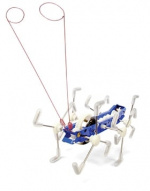 Kikkerland Mxykikker vinda upp (1504)