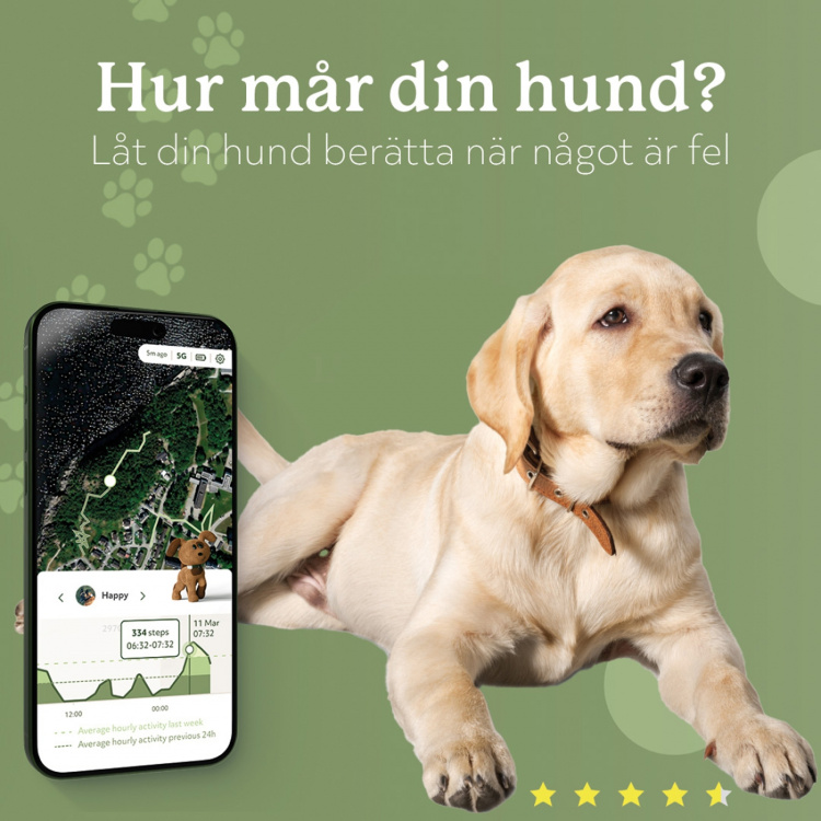 Lildog 2 GPS-Tracker för Hundar