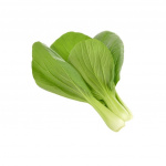 Click & Grow - Smart Garden Refill 3-pack - Pak choi (SGR58X3) Click & Grow - Smart Garden Refill 3-pack - Pak choi (SGR58X3)