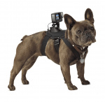 GoPro Fetch - Dog Harness