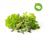 Click & Grow - Smart Garden Refill 9-pack Grill & Steak Mix Click & Grow - Smart Garden Refill 9-pack Grill & Steak Mix