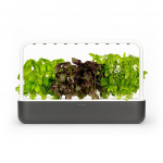 Click & Grow - Smart Garden 9 startpaket (Färg: Mörkgrå) (SG9S8UNI) Click & Grow - Smart Garden 9 startpaket (Färg: Mörkgrå) (SG9S8UNI)