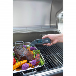 Mustang Digital Thermometer Foldable Mustang Digital Thermometer Foldable