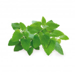 Click & Grow Smart Garden Refill 3-pack - kattmynta (SGR29X3) Click & Grow Smart Garden Refill 3-pack - kattmynta (SGR29X3)