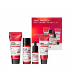 Some By Mi Snail Truecica Miracle Repair Starterkit - Resestorlekar