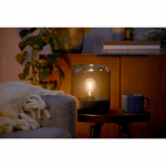 Philips LED SceneSwitch E27 A60 7-3,8-1W (50W) Deco spiral