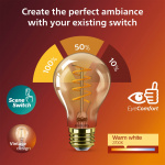 Philips LED SceneSwitch E27 A60 7-3,8-1W (50W) Deco spiral
