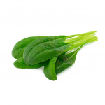 Click & Grow Smart Garden Refill 3-pack Mibuna