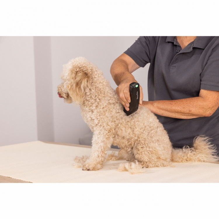 Wahl Sladdlösa ArcoPro Clipper Wahl Sladdlösa ArcoPro Clipper