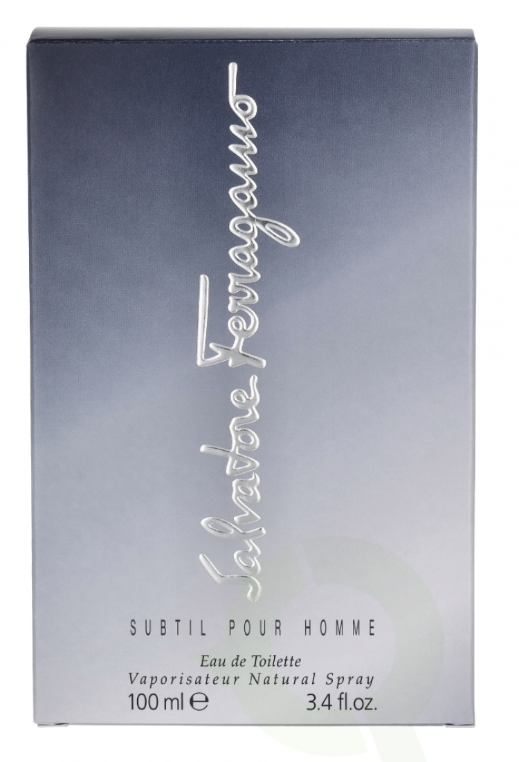 Ferragamo Subtil Pour Homme Edt Spray 100 ml