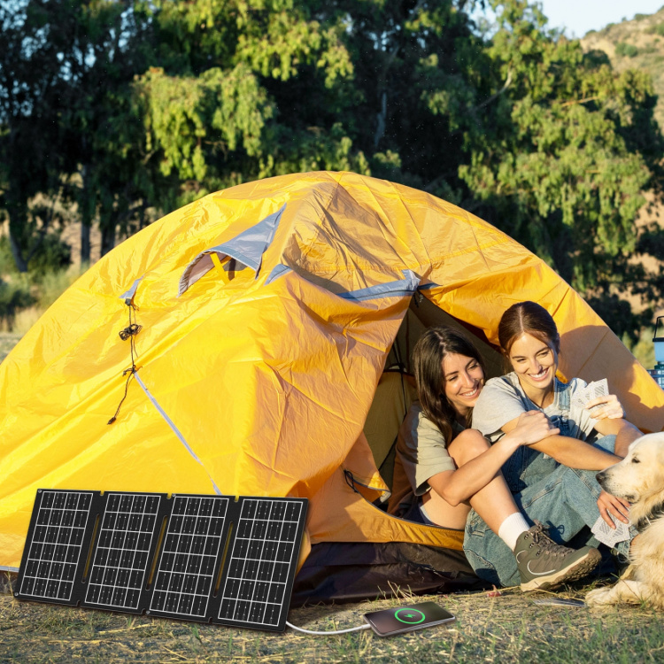 LogiLink Vikbar solcellspanel med USB-laddare 1x USB-C, 1 x USB-A 15W