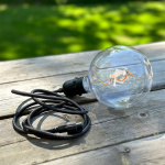 LightsOn Penny Pendellampa Gravity + DecoBulb XL Varmvit