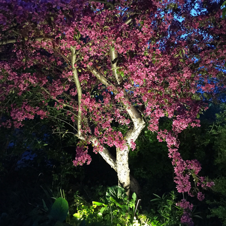 LightsOn Luna Trädgårdsspot 350 lm 5W 35° Grå