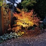 LightsOn Luna Trädgårdsspot 350 lm 5W 35° Grå