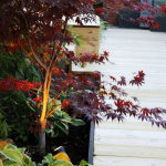 LightsOn Luna Startpaket 2 x Trädgårdsspot Grå