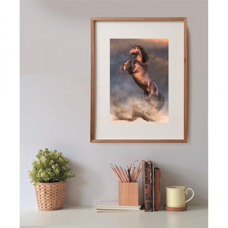 Clementoni Pussel 500 Pcs CB High Quality Collection Wild Red Stallion Clementoni Pussel 500 Pcs CB High Quality Collection Wild Red Stallion